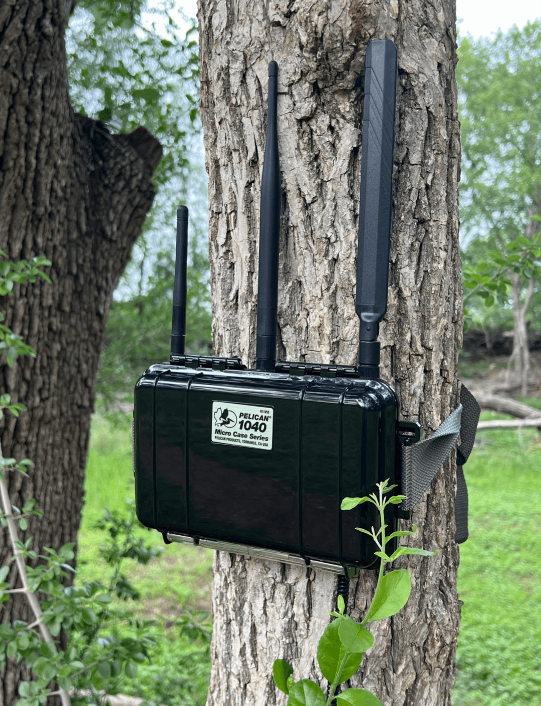 TrailSense Meerkat detection unit